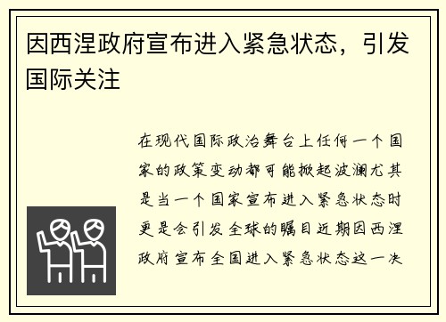 因西涅政府宣布进入紧急状态，引发国际关注