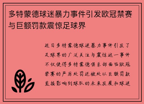多特蒙德球迷暴力事件引发欧冠禁赛与巨额罚款震惊足球界